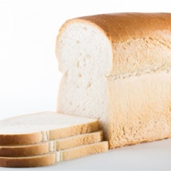 Witbrood
