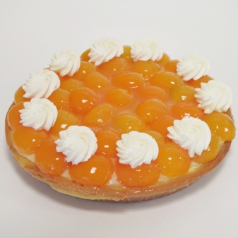 Abrikozenvlaai