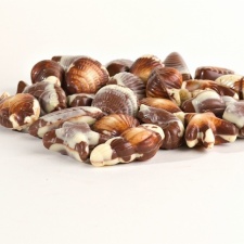 Bonbons