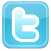 100_twitter-icon.png